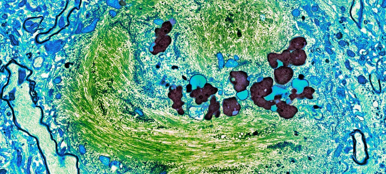 greenblue cell